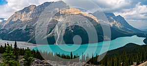 Peyto lake panorama in banff national park, alberta, canada