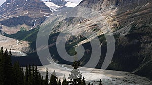 Peyto Lake with surrounding mountains and forests in Banff National Park, Canada