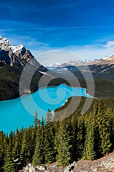 Peyto Lake