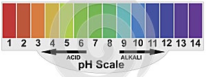 pH alkaline and acidic scale