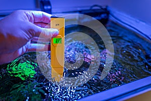 PH checking in a marine aquarium with an electronic Ph meter