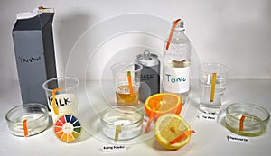 The pH grade og some everyday`s food items