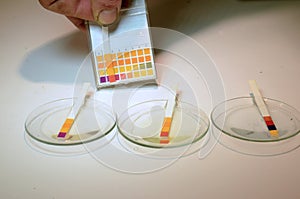 PH indicator Strips