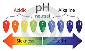 PH level scale showing sickness and health in human body