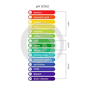PH Scale. Acidic and alkaline measure. Scale indicator for litmus paper test. Vector illustration isolated on white photo
