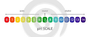 PH Scale. Acidic and alkaline measure. Scale indicator for litmus paper test. Vector illustration isolated on white photo