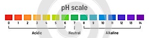 Ph scale chart. Diagram of acid and alkaline solutions on white background. Ph indicator acid-base balance, chemical