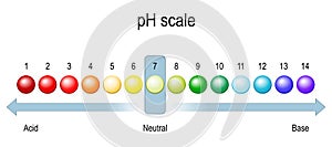 Ph scale. chart of pH value