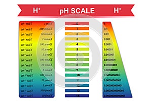 PH scale chart vector illustration