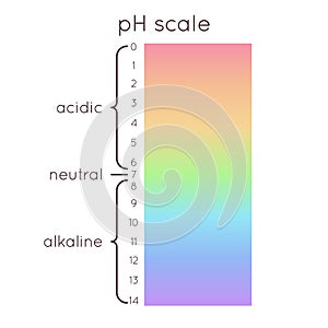 PH scale diagram. Vector rainbow illustration