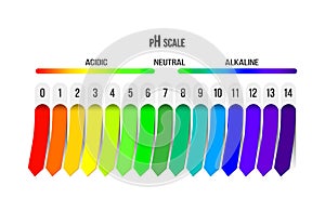 Ph scale. Indicator of acidity, alkalinity and neutral solution. Diagram for analysis, tests and infographics. Vector