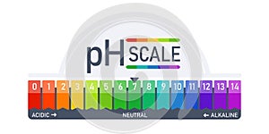 pH scale indicator chart diagram acidic alkaline measure. Acid-base balance infographic