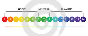 PH scale indicator chart diagram acidic alkaline measure. pH analysis vector chemical scale value test