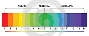 pH scale indicator chart diagram acidic alkaline measure. pH analysis vector chemical scale value test