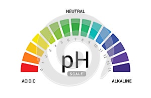 pH scale indicator chart diagram acidic alkaline measure. pH analysis vector chemical scale value test