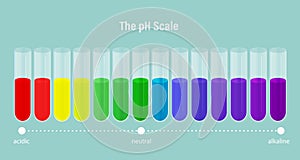 The pH scale. ph alkaline, neutral and acidic scale. Vector illustration of specifying the acidity of an aqueous solution
