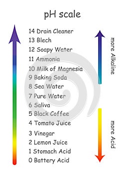Ph scale with product names with different acidity. The scale is arranged in the form of an arrow from the alkaline