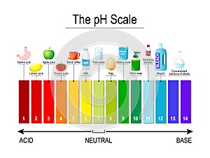 PH scale. Universal Indicator pH. Test Strips