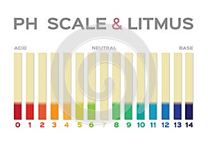 Ph scale vector graphic . acid to base / litmus