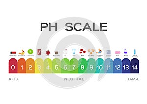 Ph scale vector graphic . acid to base / litmus