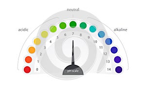 pH scale vector indicator chart diagram acidic alkaline measure