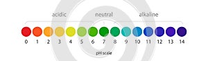 pH scale vector Infographic acid-base balance