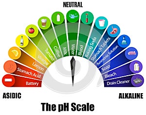 The pH scale on white background