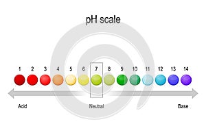 Ph value scale. acid-base balance