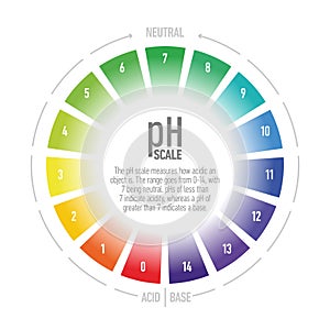 PH value scale from acid to base solutions, acid-base balance infographic