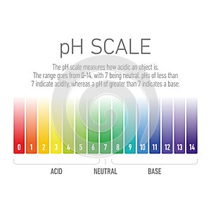 PH value scale from acid to base solutions, acid-base balance infographic