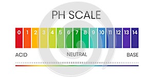 pH value scale chart for acid-alkaline solution. Acid-base balance infographic isolated on white background. Indicator