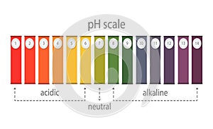 pH value scale chart for acid and alkaline solutions, acid-base balance infographic