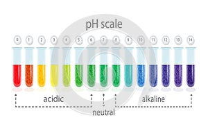 pH value scale chart for acid and alkaline solutions, acid-base balance infographic