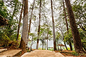 Pha Dam viewpoint at Bhubing palace