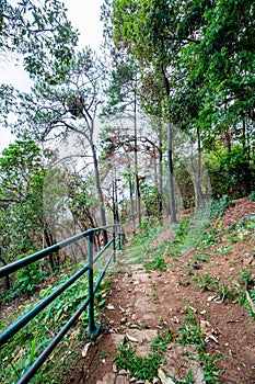 Pha Dam viewpoint at Bhubing palace