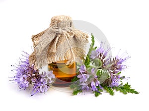 Phacelia tanacetifolia with pharmaceutical bottle. photo