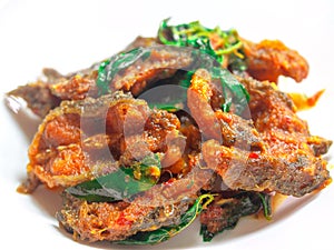 Phad phed pla duk thod krob stir fried deep fried catfish with curry paste, thai food. on white photo