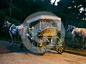 Phaeton. Horse carriage