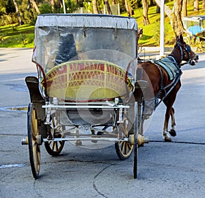 Phaeton. Horse carriage