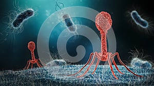 Phage infecting bacterium close-up 3D rendering illustration. Microbiology, medical, bacteriology, biology, science, healthcare,