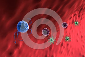 Phagocyte and viruses