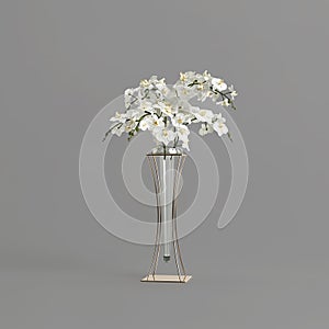 Phalaenopsis orchid in luxury vase isolated on monochrome background