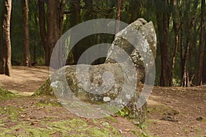 Phallic Rock on Molokai photo
