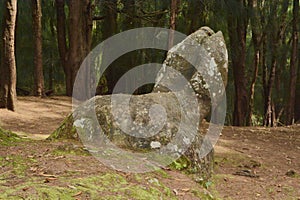 Phallic Rock on Molokai