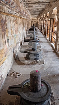 Phallic symbols in a Hindu temple photo