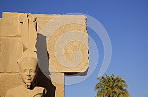 Pharaoh carving at Karnak Egypt