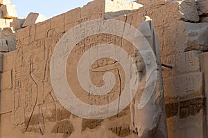 Pharaoh beside hieroglyph wall