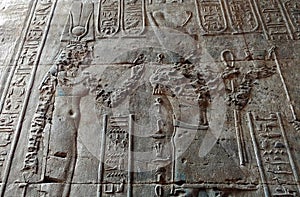 Pharaohs and hieroglyphs on wall of karnak temple