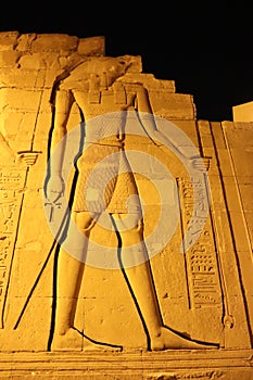 pharaonic relief carvings in kom ombo temple, egypt