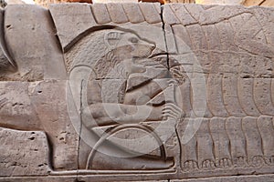 pharaonic relief carvings (lion preys on the hands of pharoh\'s enemies) in Kom ombo temple